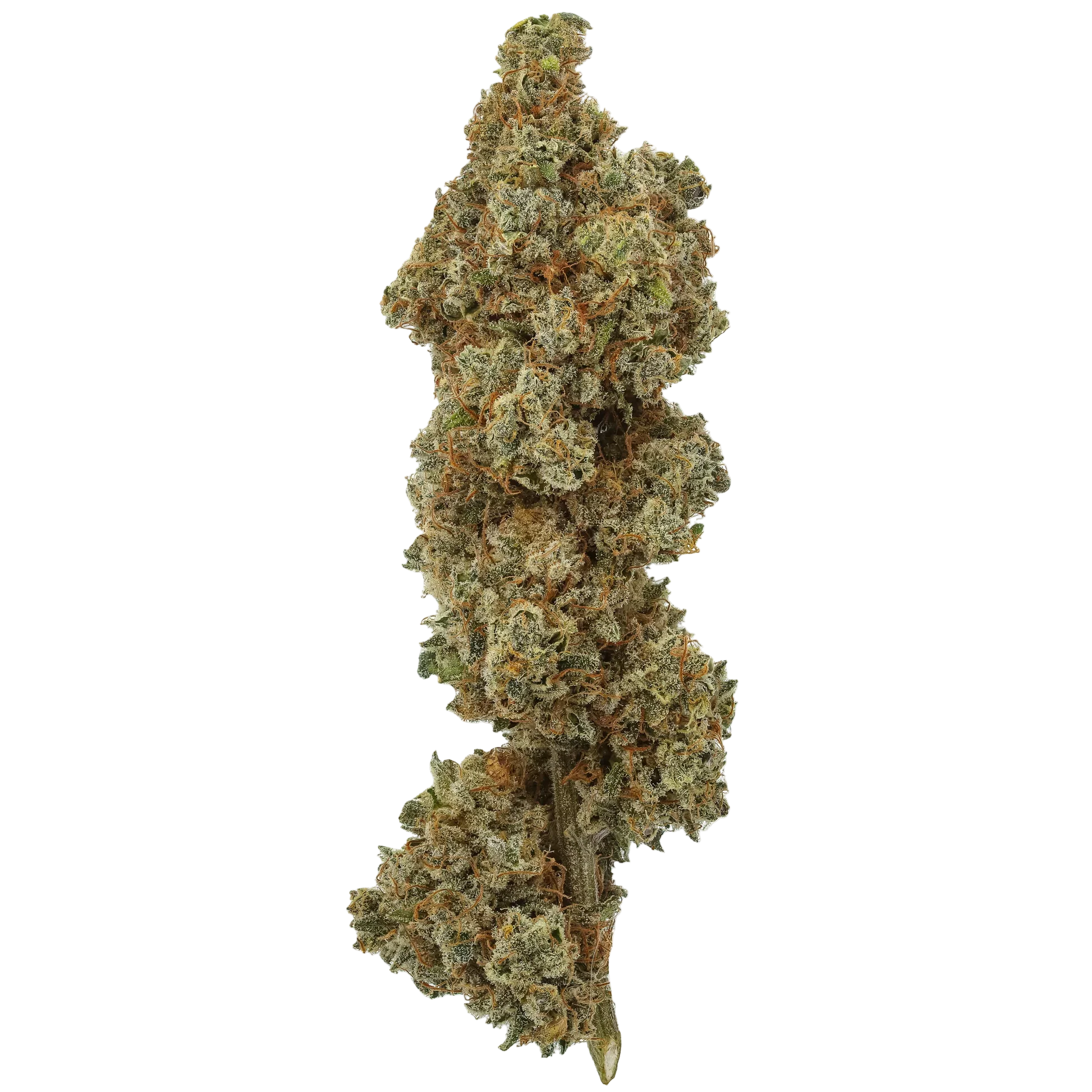 Miracle Lemon Cookies CBD Flower