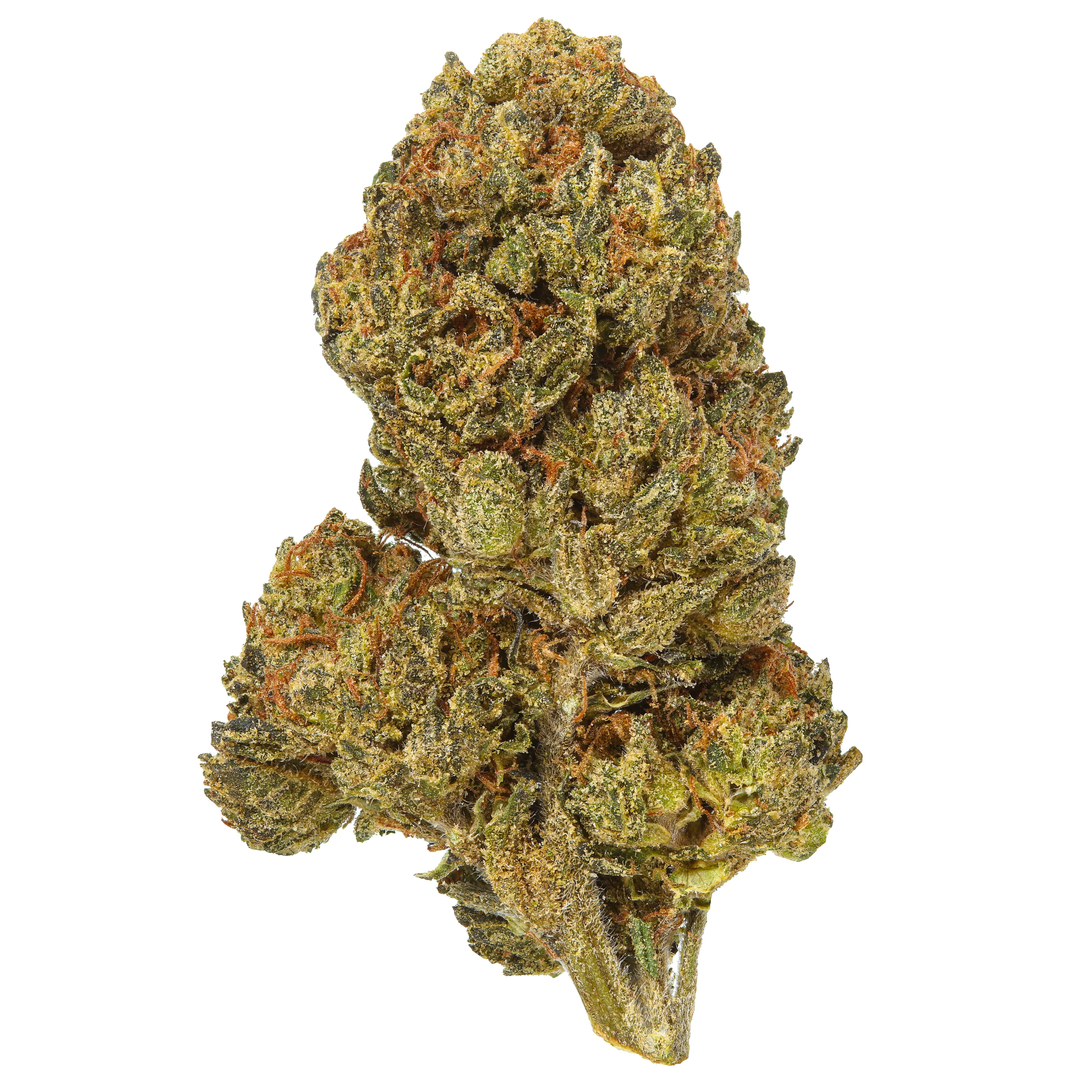 Mochi Gelato THCa Flower