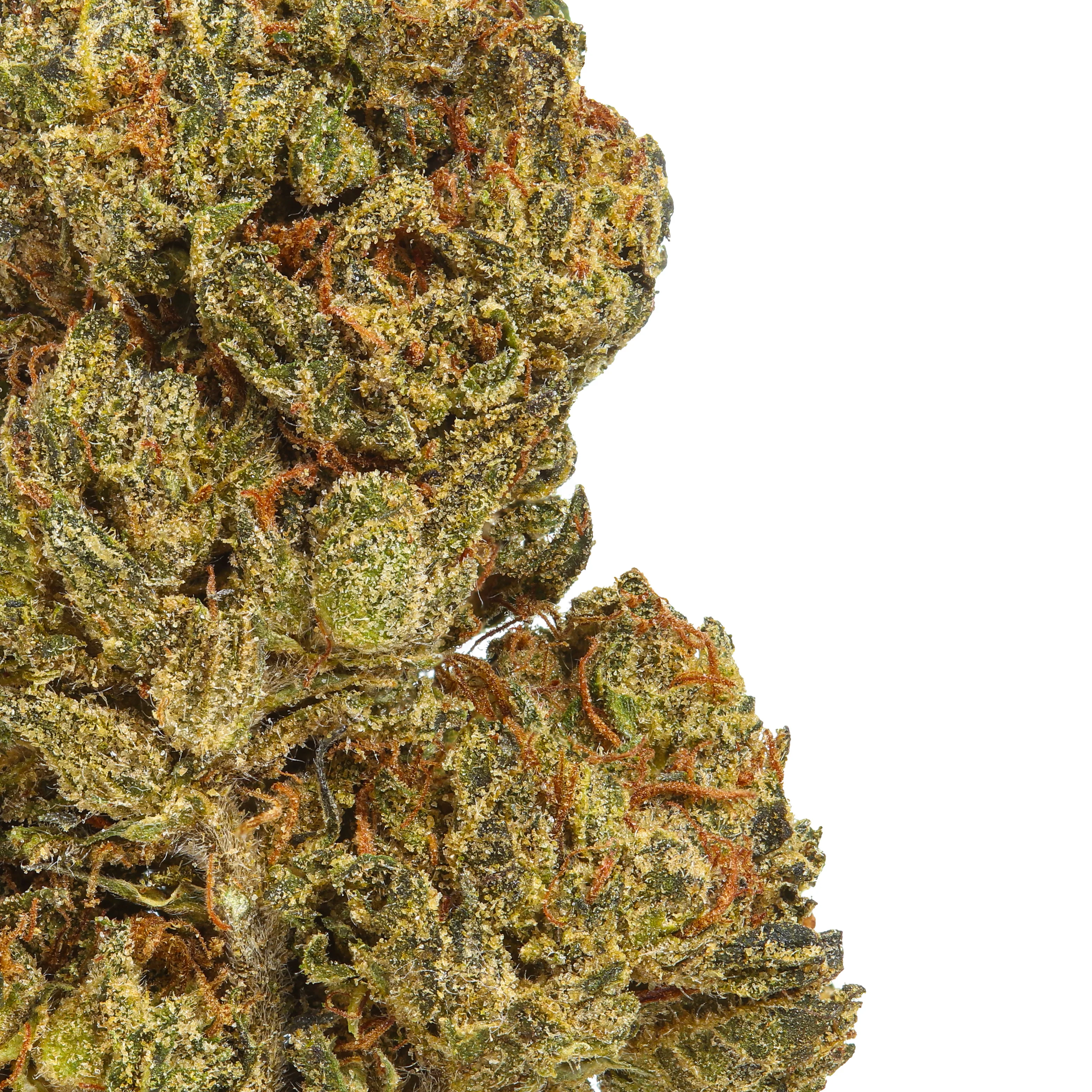 Mochi Gelato THCa Flower - Image 2