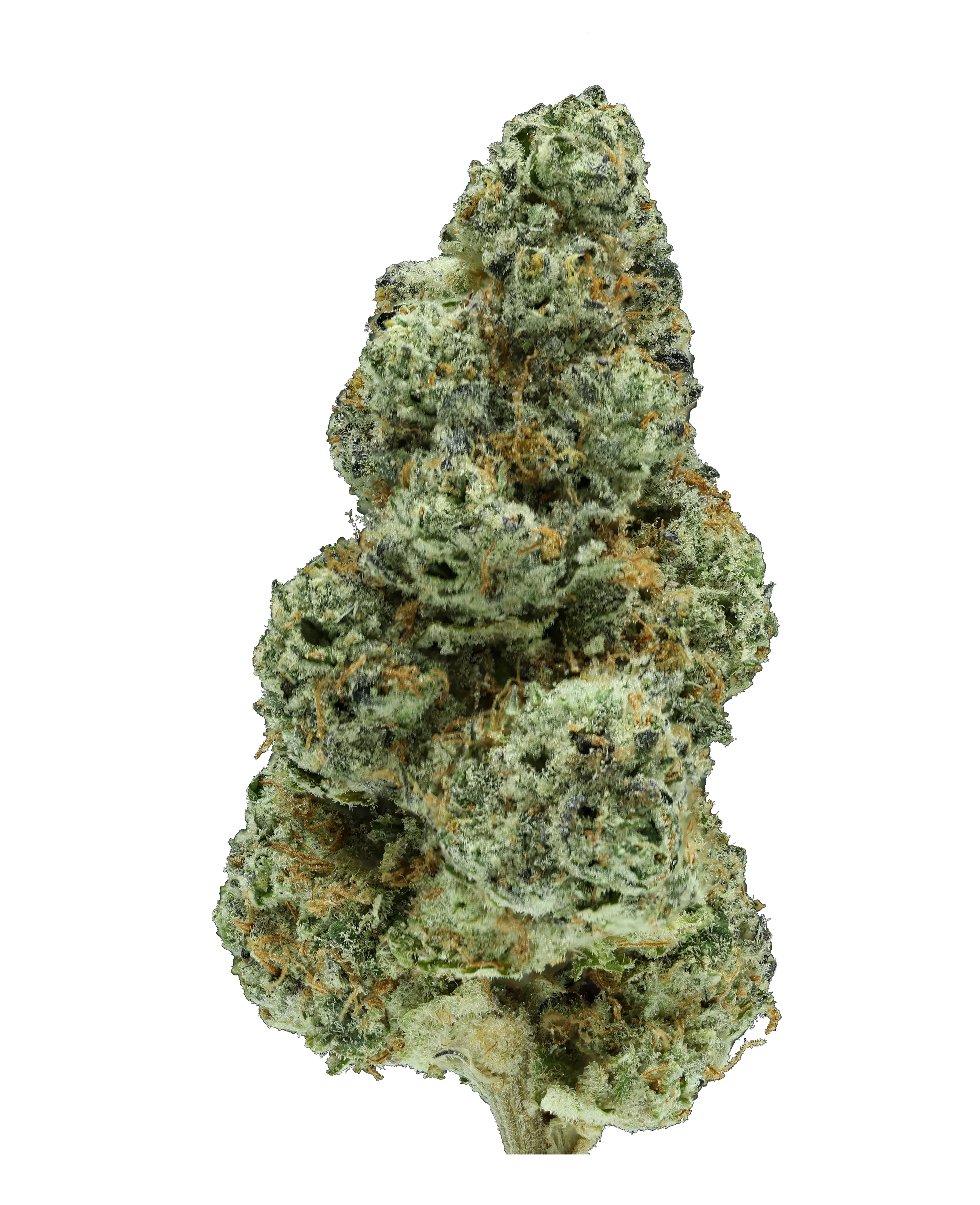 Mule Fuel THCa Flower