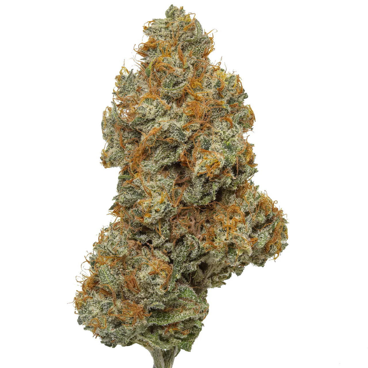 Northern Lights THCa Flower