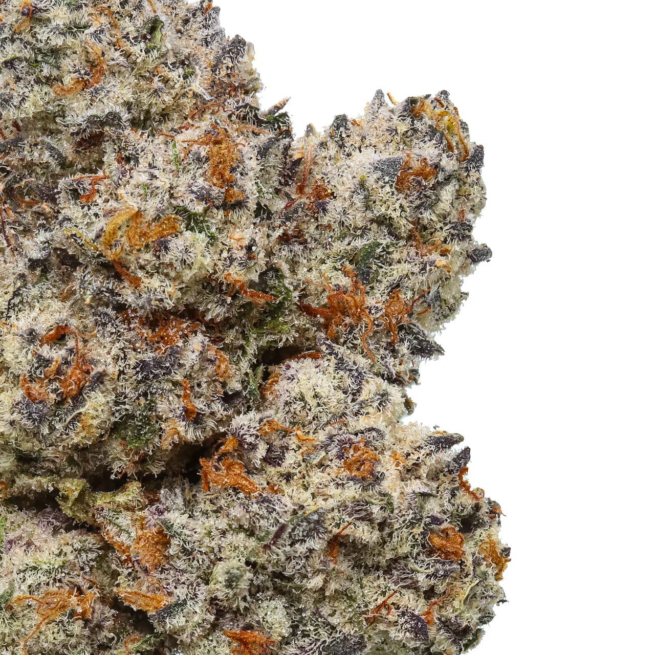 Octane Mintz THCa Flower - Image 2