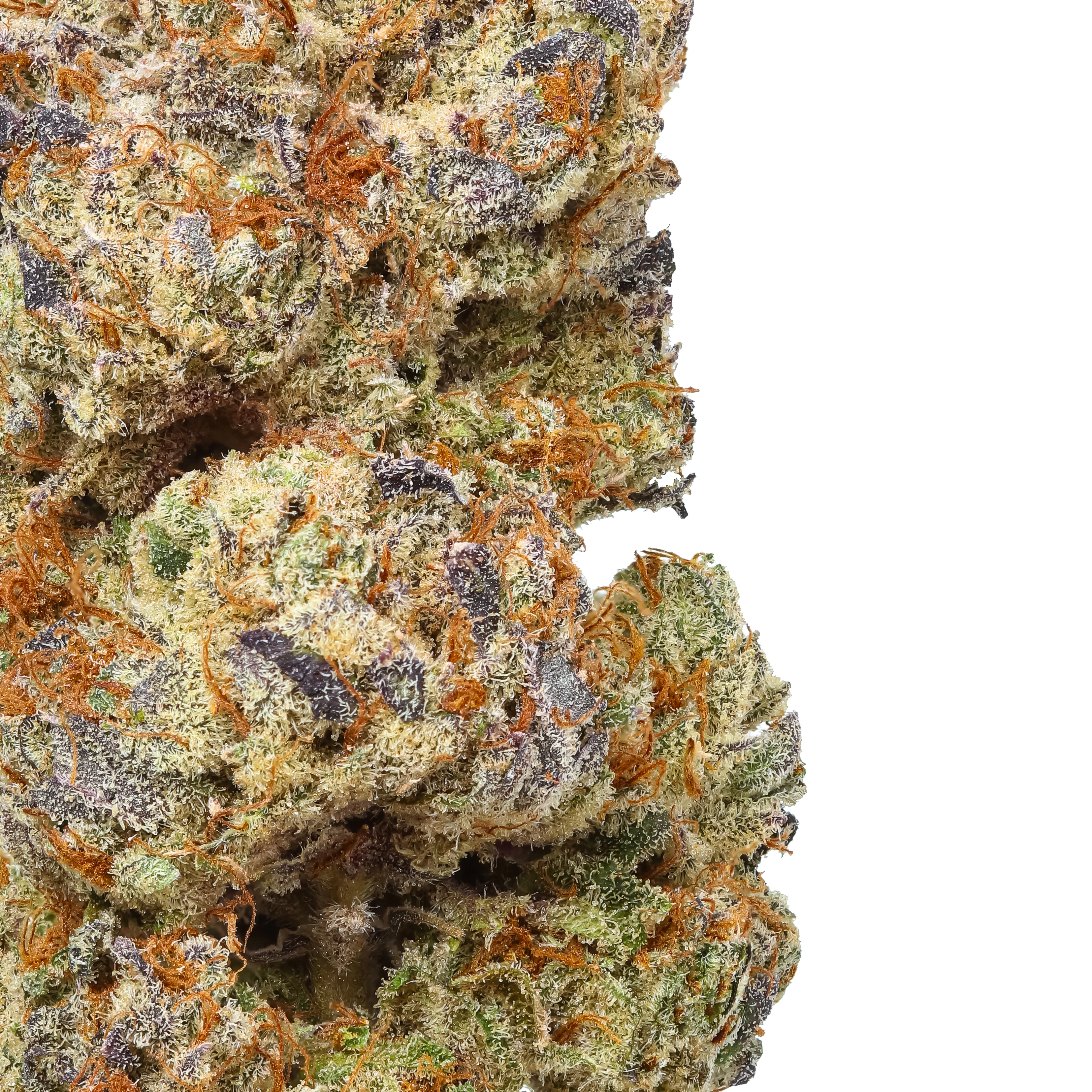OG Kush THCa Flower - Image 2