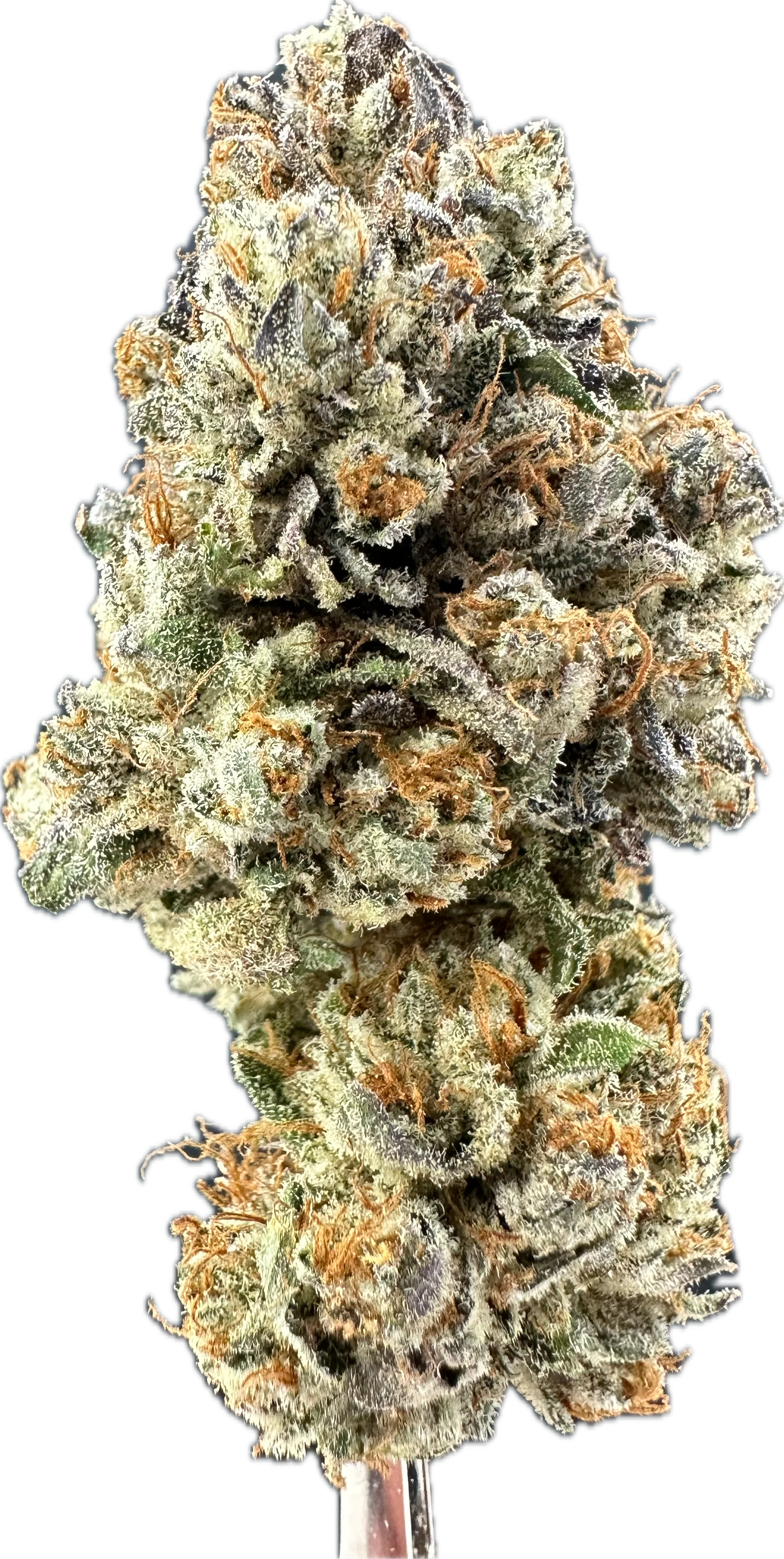 OG Kush THCa Flower - Image 3