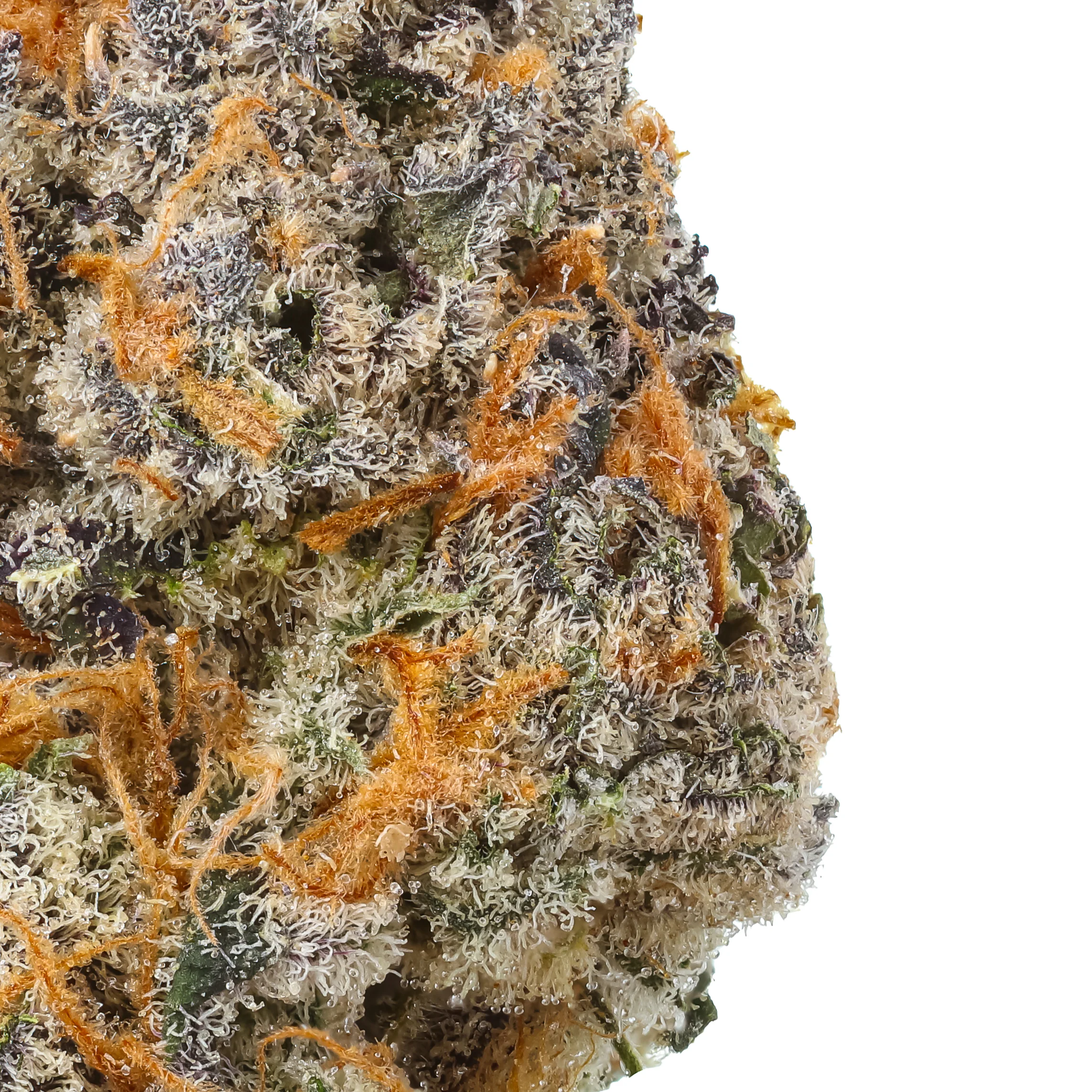 Oil Spill THCa Flower - Image 2