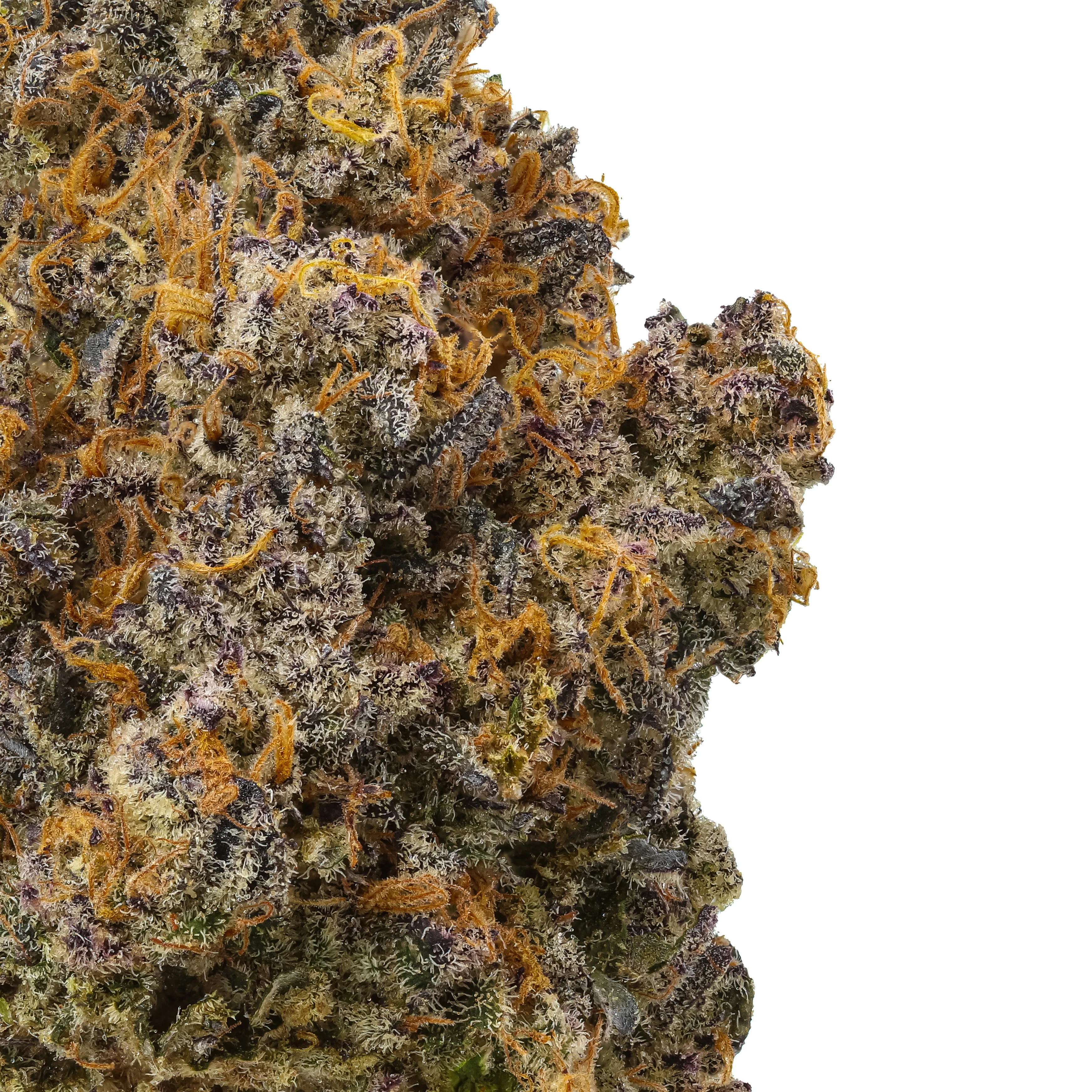 Pablo’s Revenge THCa Flower - Image 2