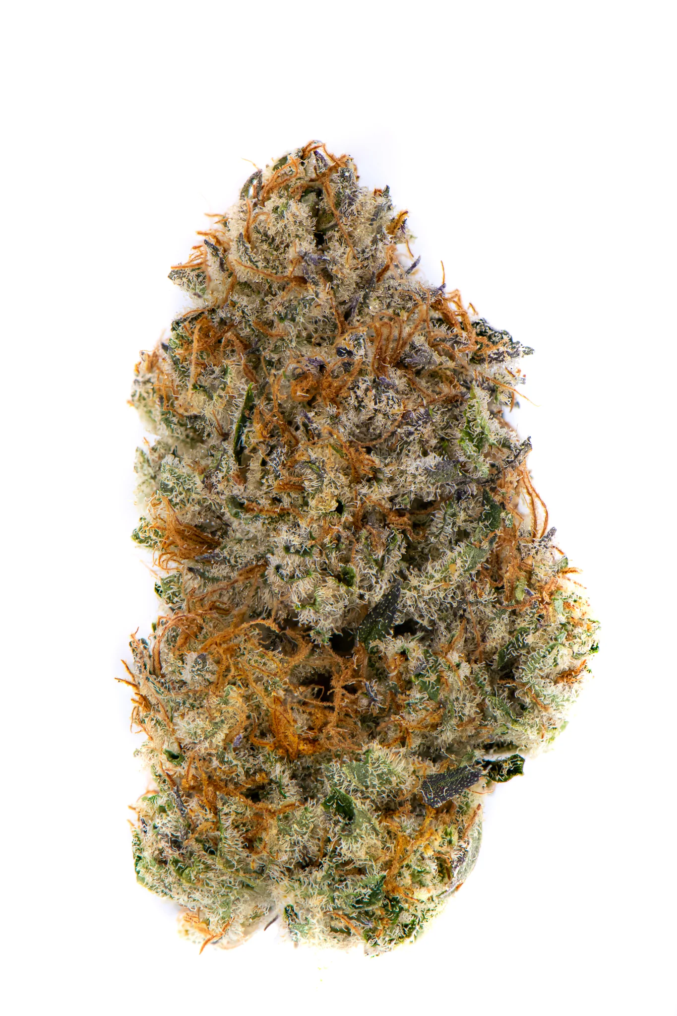 Paradise OG CBD Flower - Image 2