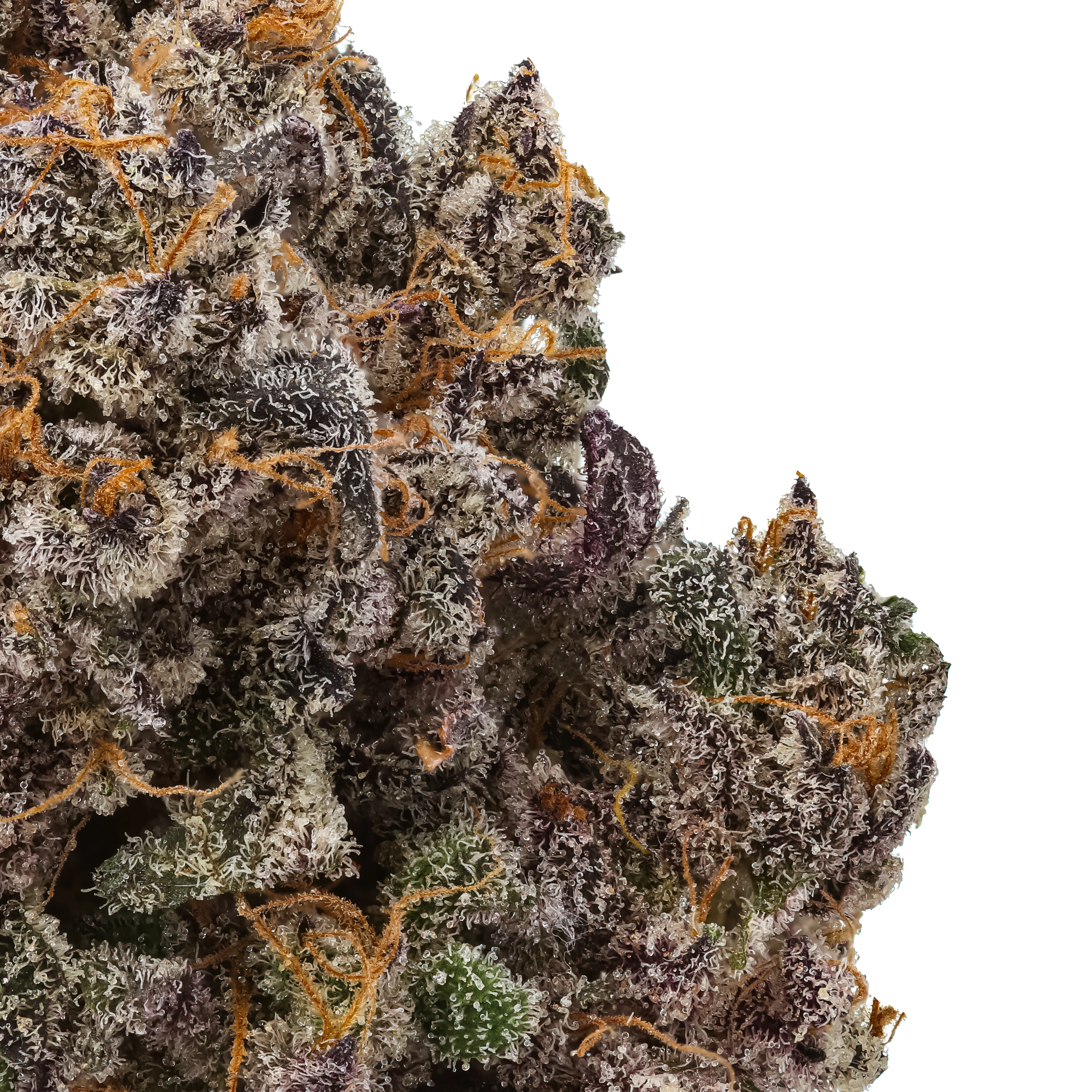 Pink Perfume THCa Flower - Image 2