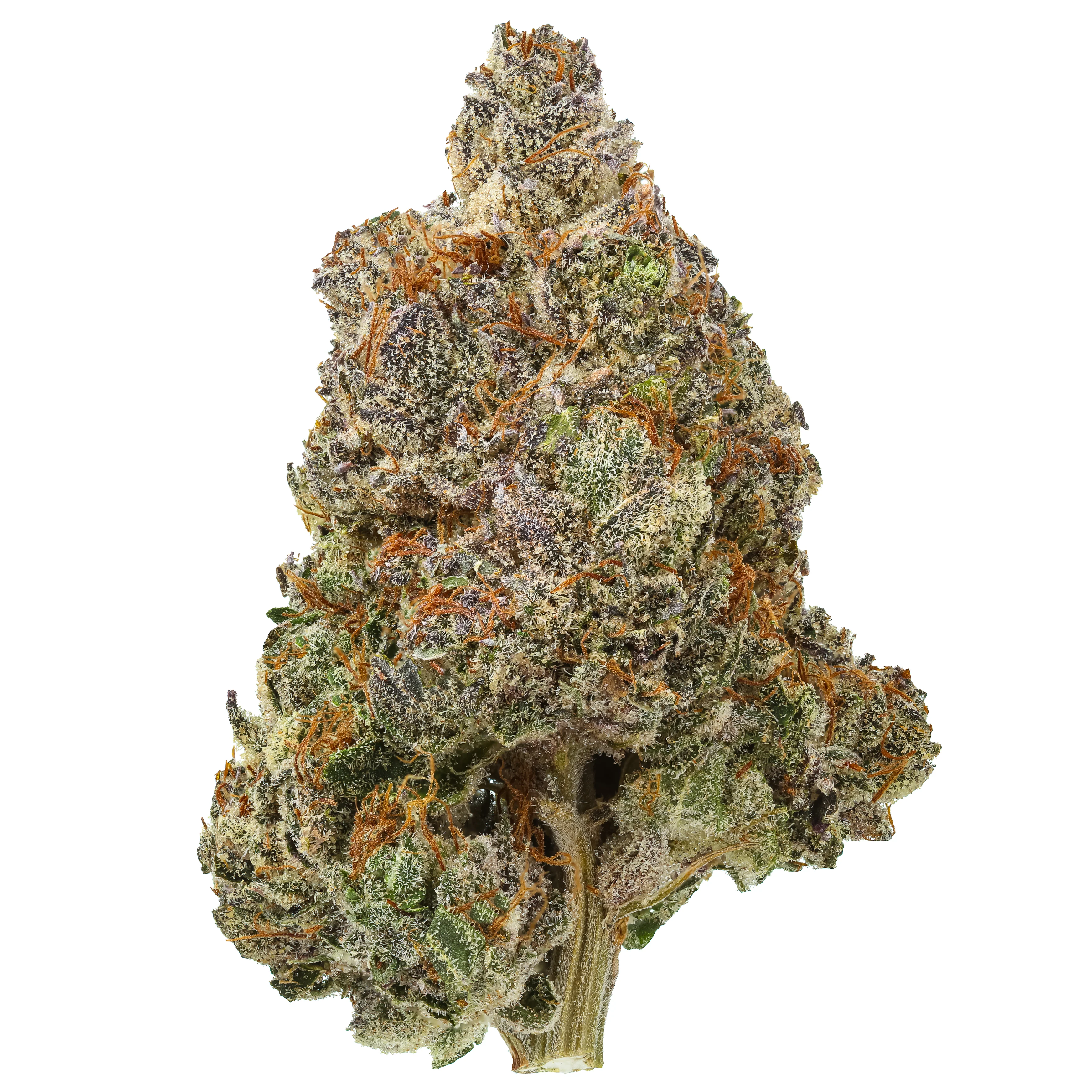 Royal Kush THCa Flower