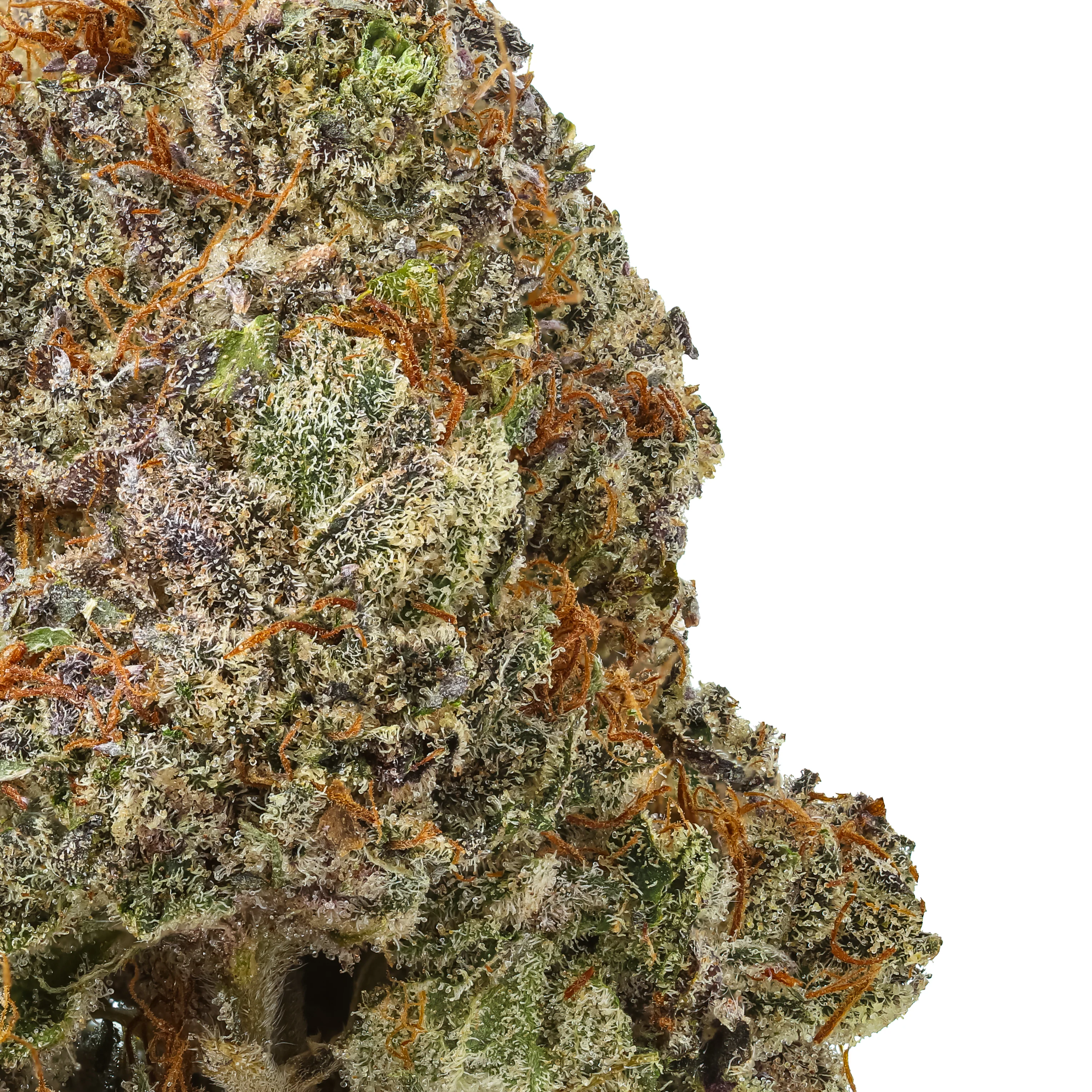 Royal Kush THCa Flower - Image 2