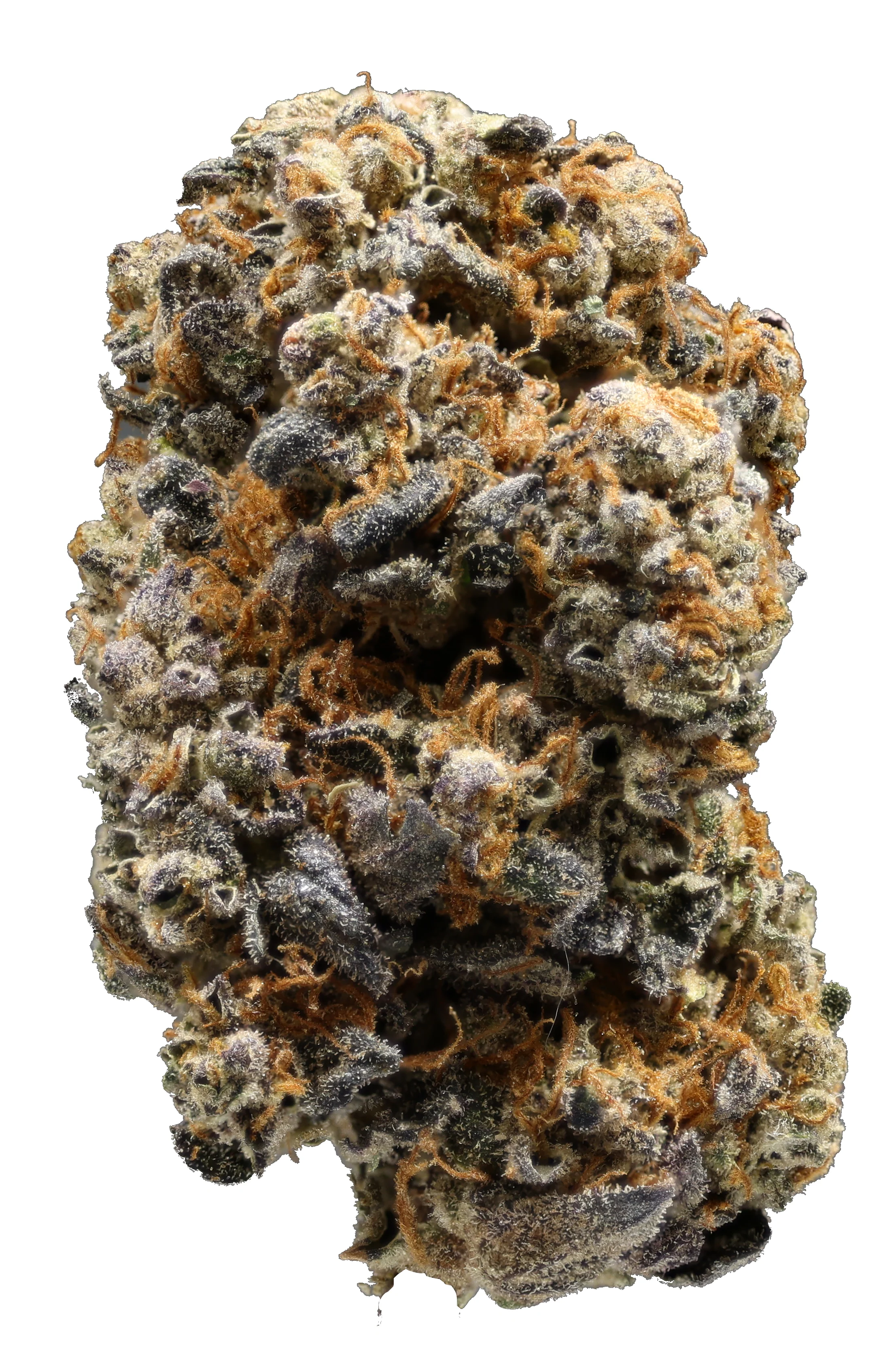 Scottie 2 Hottie CBD THCa Flower