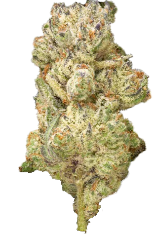 Secret Weapon THCa Flower