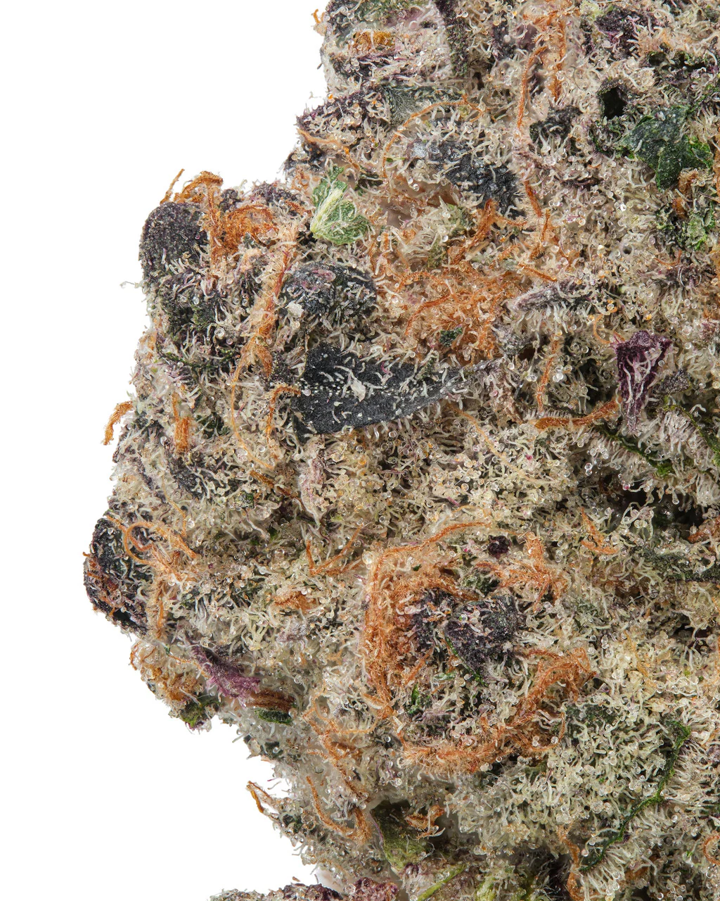 Super Boof THCa Flower - Image 2