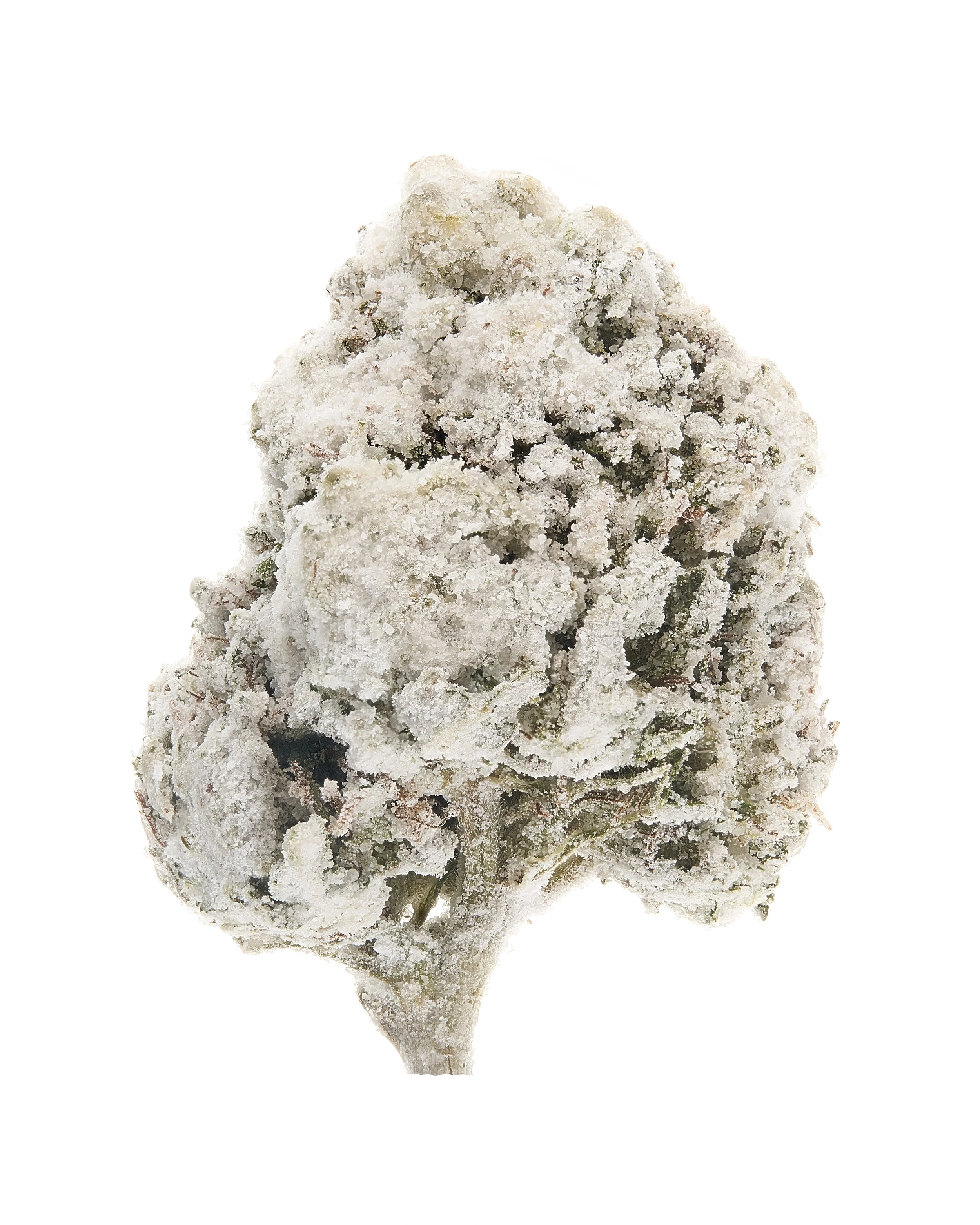 THCa Snow Caps Weed | Asteroids ® - Image 4