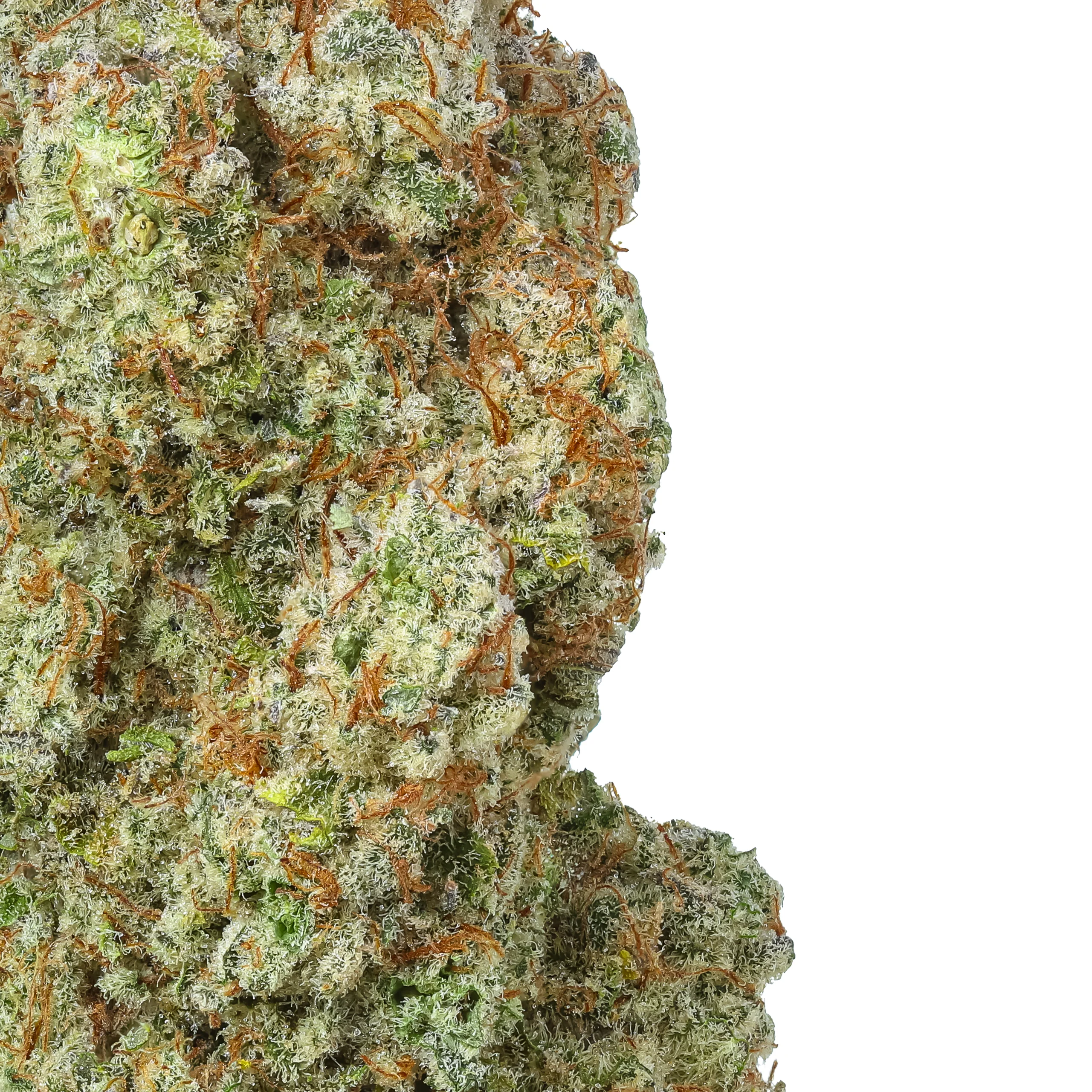 Trainwreck THCa Flower - Image 2