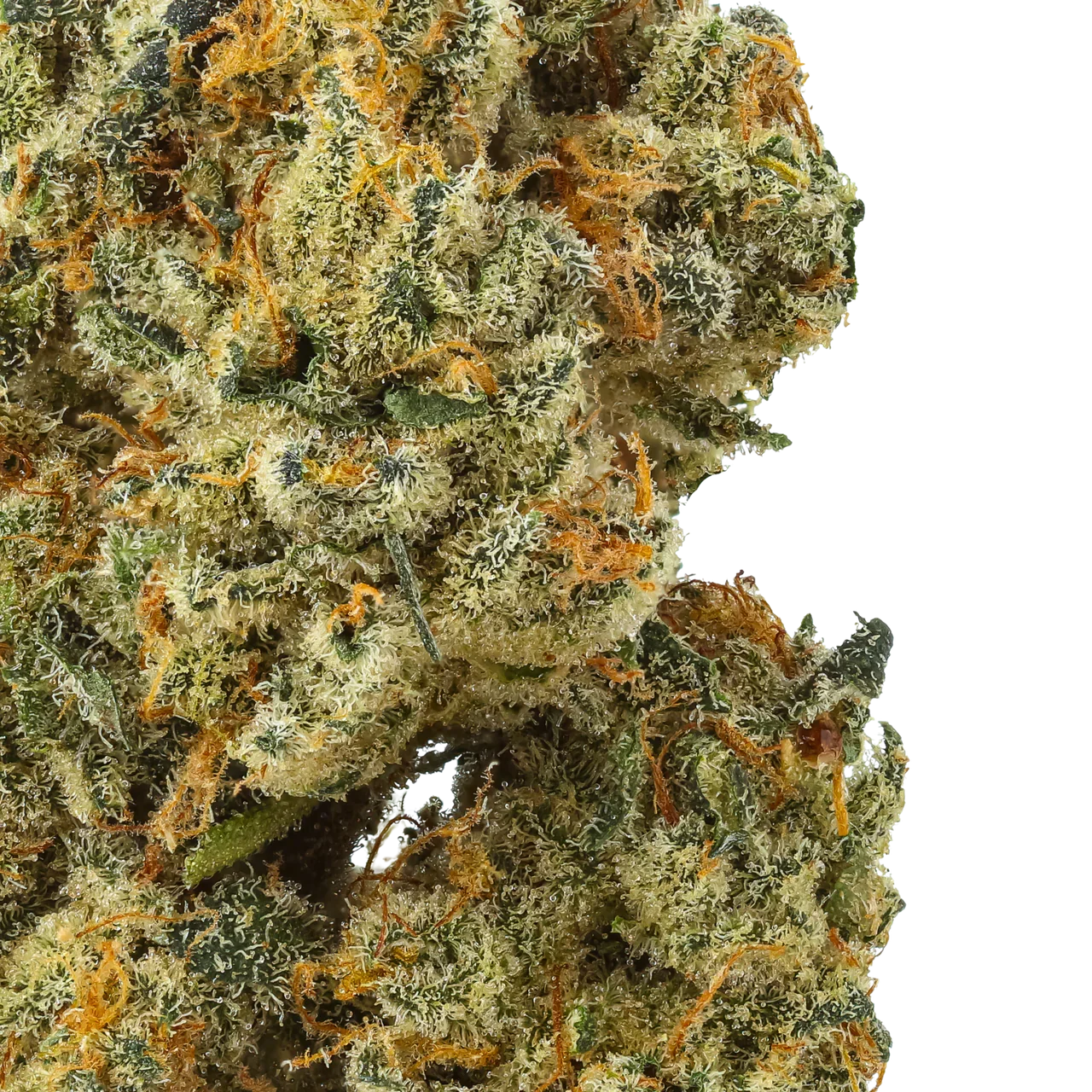 Watermelon Pines CBD THCa Flower - Image 2