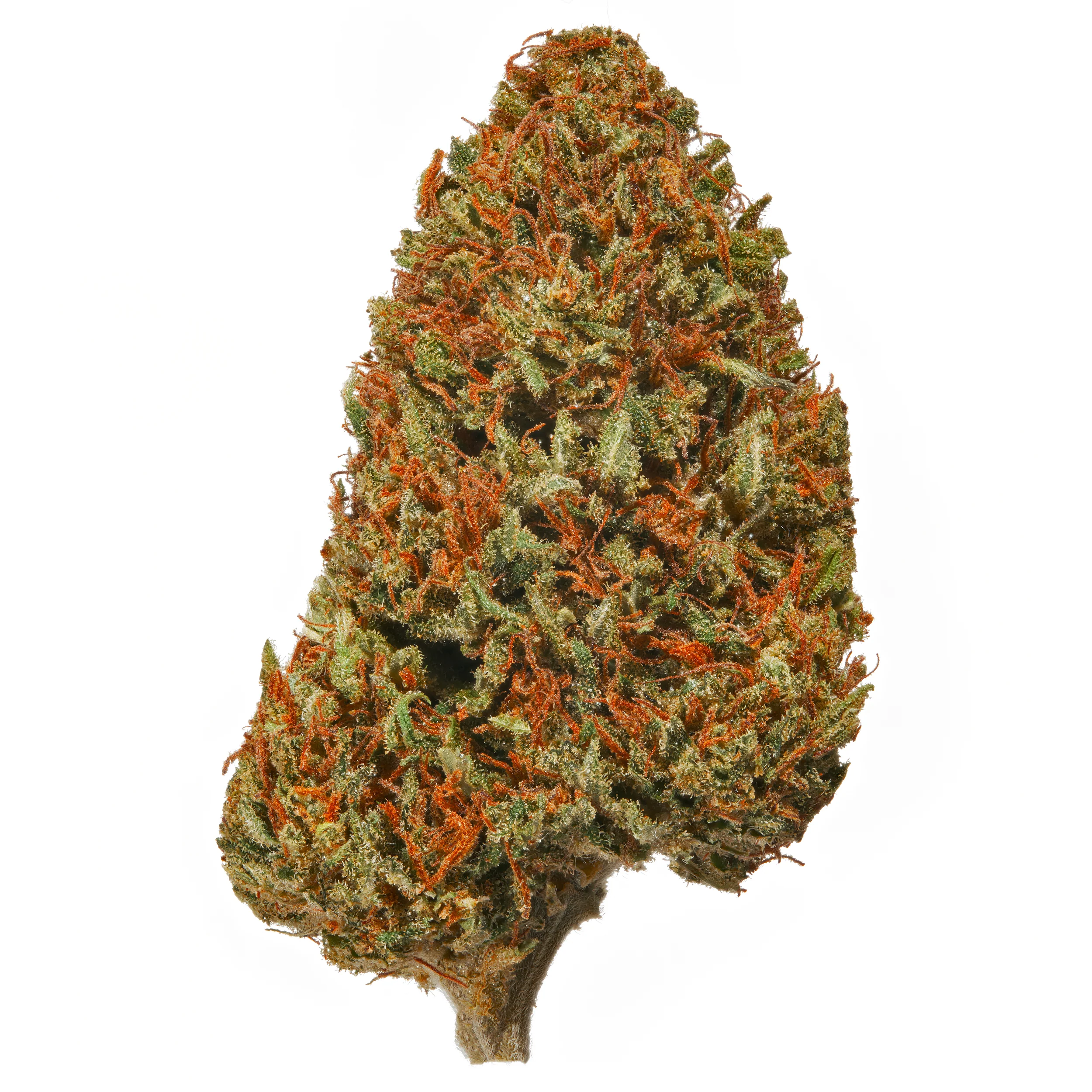 Wedding Cake (Regular & THCA Infused) - Image 3