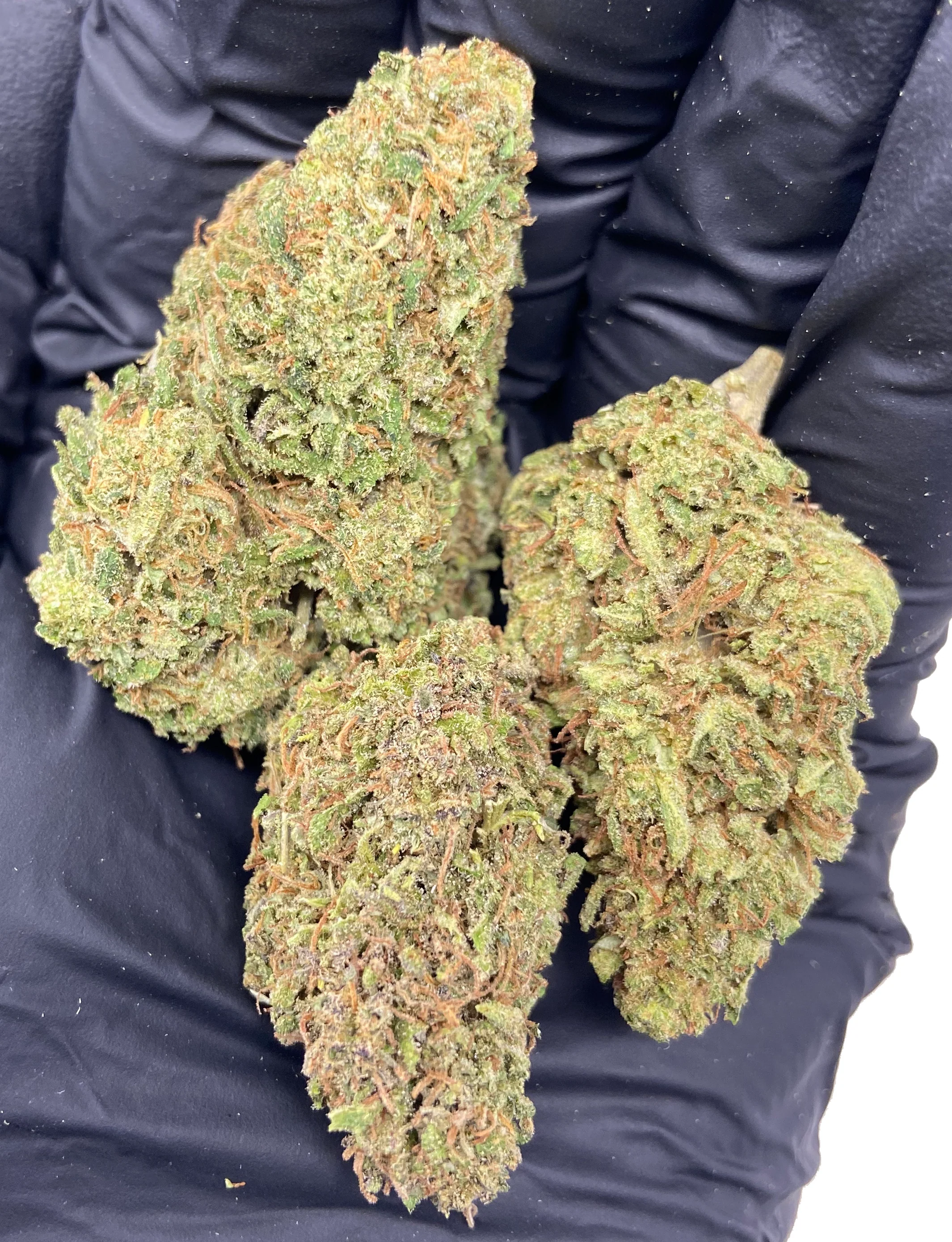 Wedding Cake (Regular & THCA Infused) - Image 7