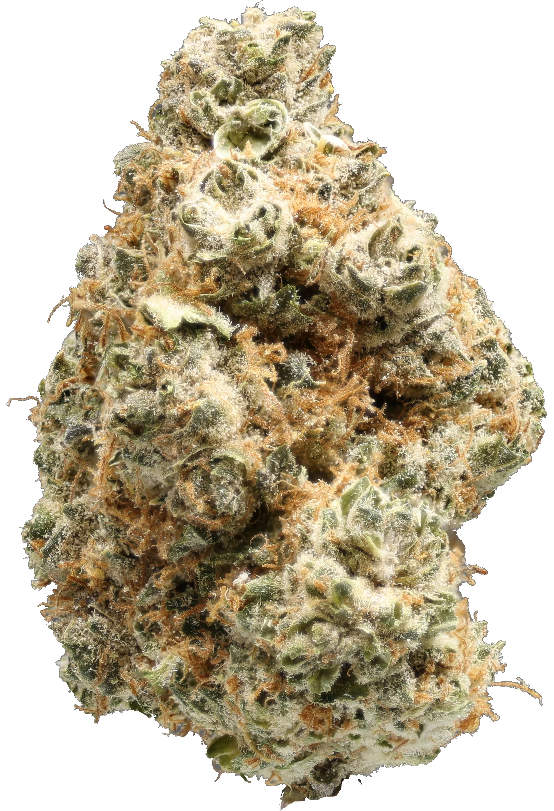 White Cheddar CBG